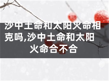沙中土命和太阳火命相克吗,沙中土命和太阳火命合不合