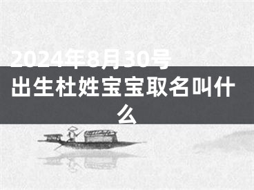 2024年8月30号出生杜姓宝宝取名叫什么