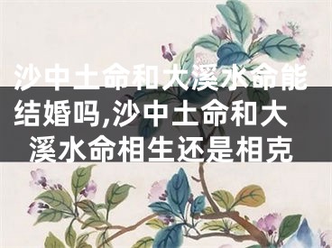 沙中土命和大溪水命能结婚吗,沙中土命和大溪水命相生还是相克