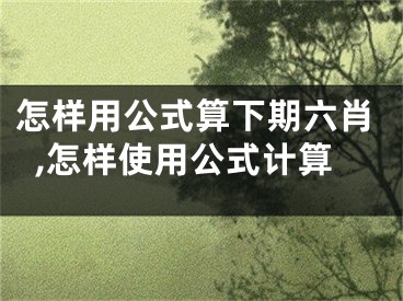 怎样用公式算下期六肖,怎样使用公式计算