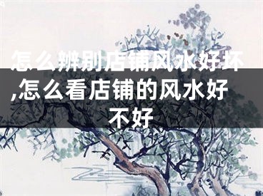 怎么辨别店铺风水好坏,怎么看店铺的风水好不好