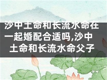 沙中土命和长流水命在一起婚配合适吗,沙中土命和长流水命父子