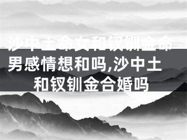 沙中土命女和钗钏金命男感情想和吗,沙中土和钗钏金合婚吗