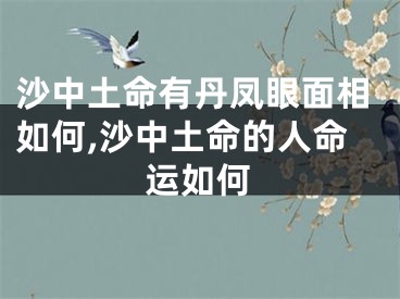 沙中土命有丹凤眼面相如何,沙中土命的人命运如何