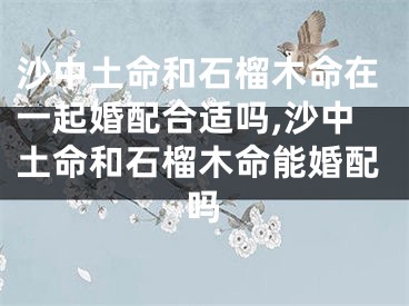沙中土命和石榴木命在一起婚配合适吗,沙中土命和石榴木命能婚配吗