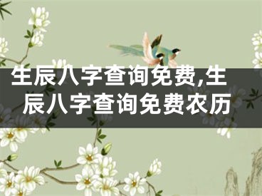 生辰八字查询免费,生辰八字查询免费农历