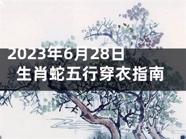 2023年6月28日生肖蛇五行穿衣指南