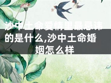 沙中土命爱情里最忌讳的是什么,沙中土命婚姻怎么样