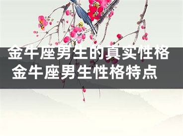 金牛座男生的真实性格 金牛座男生性格特点
