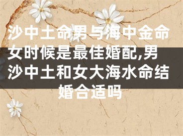 沙中土命男与海中金命女时候是最佳婚配,男沙中土和女大海水命结婚合适吗