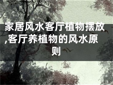 家居风水客厅植物摆放,客厅养植物的风水原则