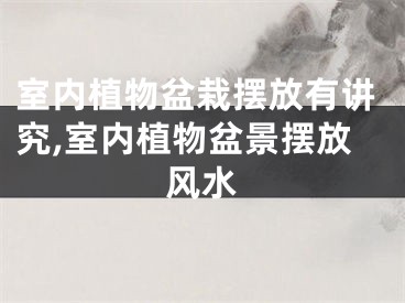 室内植物盆栽摆放有讲究,室内植物盆景摆放风水
