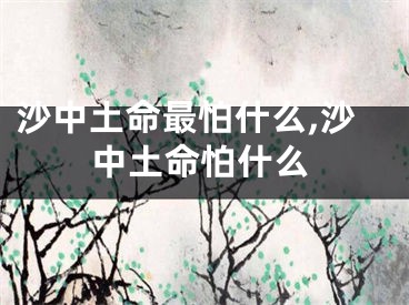 沙中土命最怕什么,沙中土命怕什么