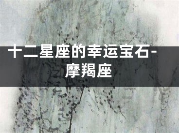 十二星座的幸运宝石-摩羯座