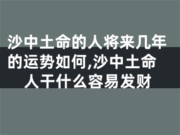 沙中土命的人将来几年的运势如何,沙中土命人干什么容易发财