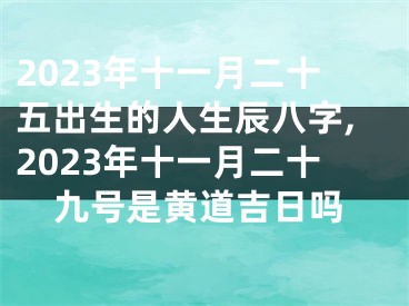 2023年十一月二十五出生的人生辰八字,2023年十一月二十九号是黄道吉日吗