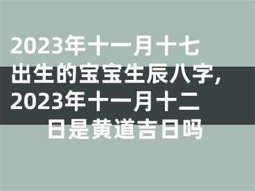 2023年十一月十七出生的宝宝生辰八字,2023年十一月十二日是黄道吉日吗