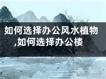 如何选择办公风水植物,如何选择办公楼