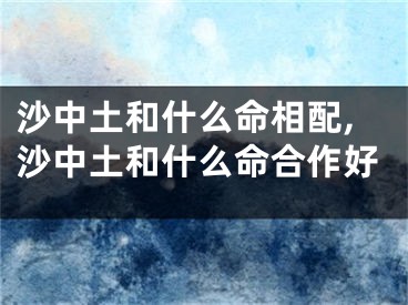 沙中土和什么命相配,沙中土和什么命合作好
