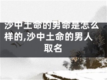 沙中土命的男命是怎么样的,沙中土命的男人取名