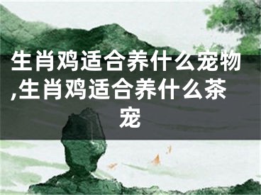 生肖鸡适合养什么宠物,生肖鸡适合养什么茶宠