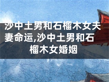 沙中土男和石榴木女夫妻命运,沙中土男和石榴木女婚姻