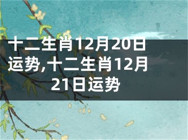十二生肖12月20日运势,十二生肖12月21日运势