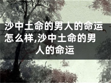 沙中土命的男人的命运怎么样,沙中土命的男人的命运
