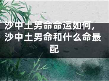 沙中土男命命运如何,沙中土男命和什么命最配