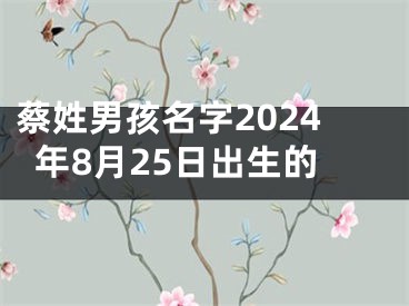 蔡姓男孩名字2024年8月25日出生的