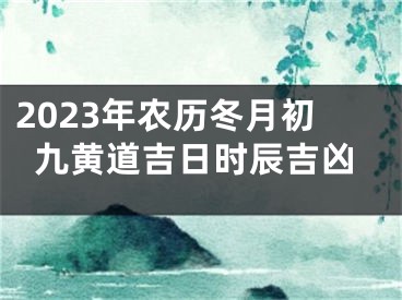 2023年农历冬月初九黄道吉日时辰吉凶