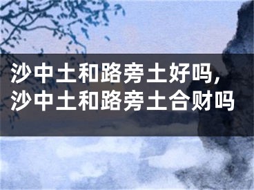 沙中土和路旁土好吗,沙中土和路旁土合财吗