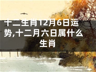 十二生肖12月6日运势,十二月六日属什么生肖