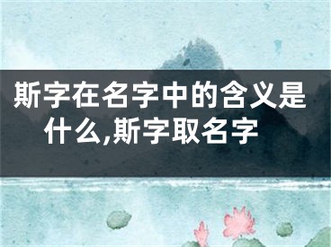 斯字在名字中的含义是什么,斯字取名字