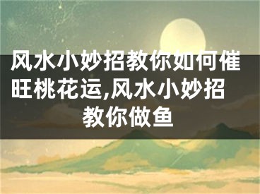 风水小妙招教你如何催旺桃花运,风水小妙招教你做鱼