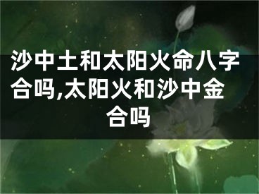 沙中土和太阳火命八字合吗,太阳火和沙中金合吗