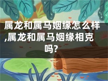 属龙和属马姻缘怎么样,属龙和属马姻缘相克吗?