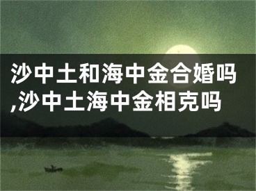 沙中土和海中金合婚吗,沙中土海中金相克吗