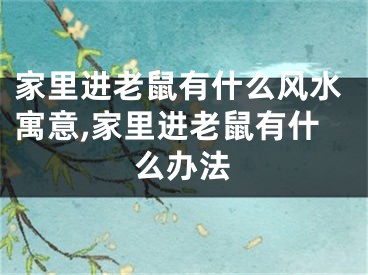 家里进老鼠有什么风水寓意,家里进老鼠有什么办法