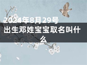 2024年8月29号出生邓姓宝宝取名叫什么