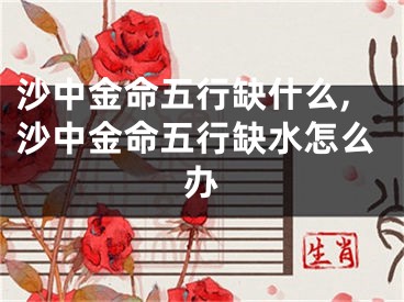 沙中金命五行缺什么,沙中金命五行缺水怎么办