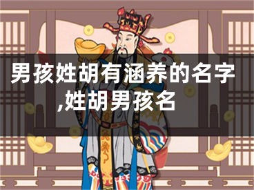 男孩姓胡有涵养的名字,姓胡男孩名