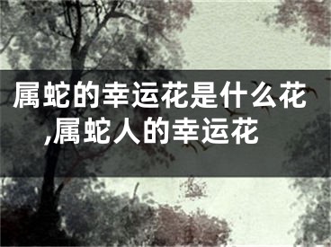 属蛇的幸运花是什么花,属蛇人的幸运花