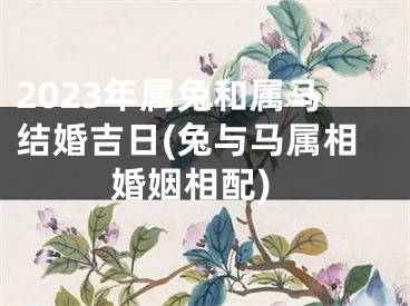 2023年属兔和属马结婚吉日(兔与马属相婚姻相配)