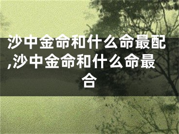 沙中金命和什么命最配,沙中金命和什么命最合