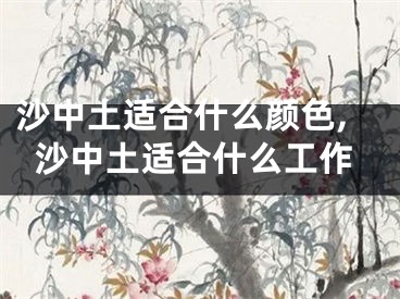 沙中土适合什么颜色,沙中土适合什么工作