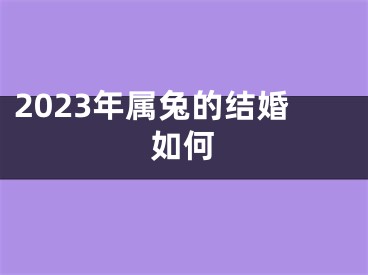 2023年属兔的结婚如何