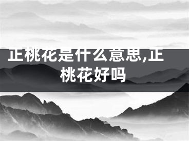 正桃花是什么意思,正桃花好吗