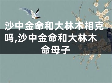 沙中金命和大林木相克吗,沙中金命和大林木命母子
