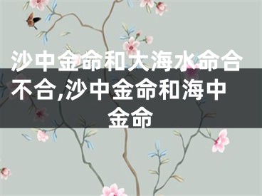 沙中金命和大海水命合不合,沙中金命和海中金命